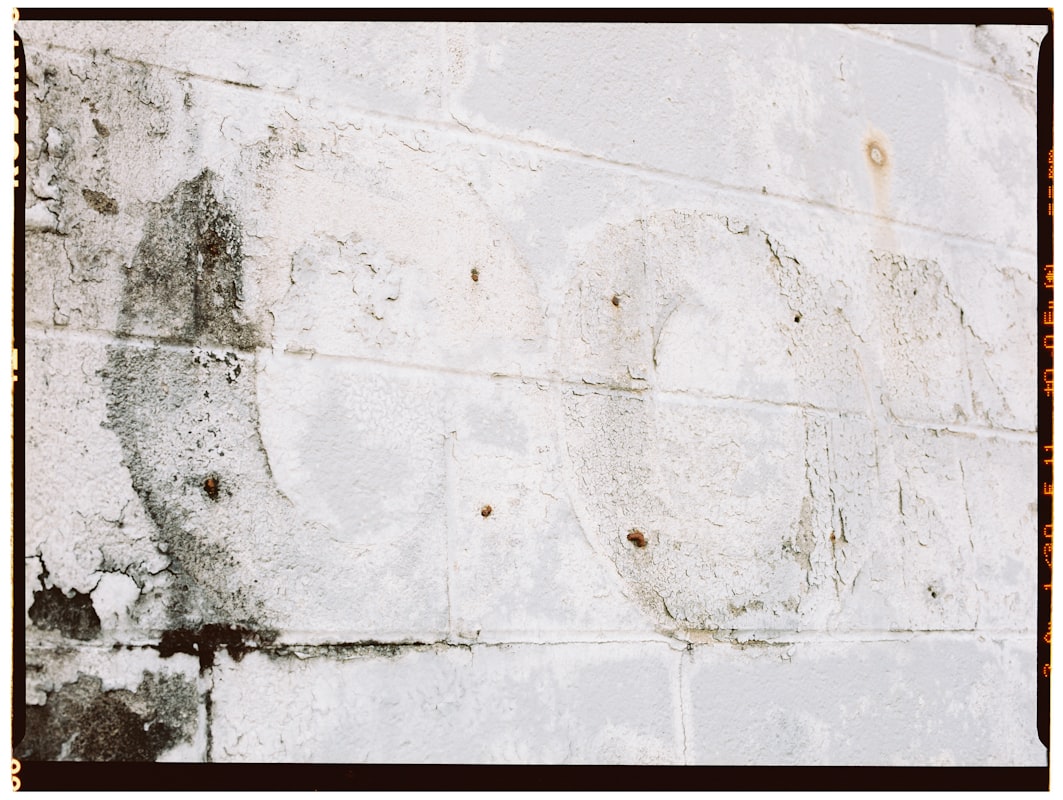 Mold Remediation service in Brunswick, GA