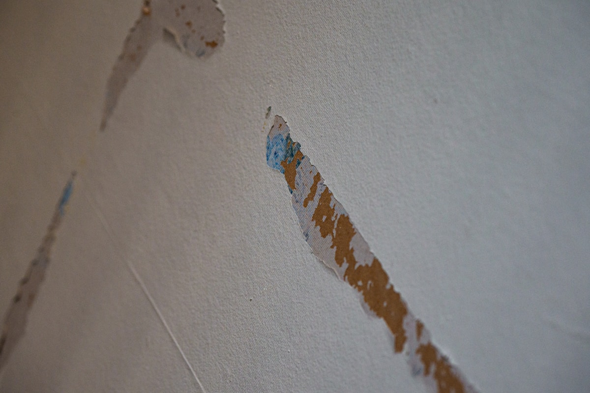 Sewage Cleanup service in Brunswick, GA